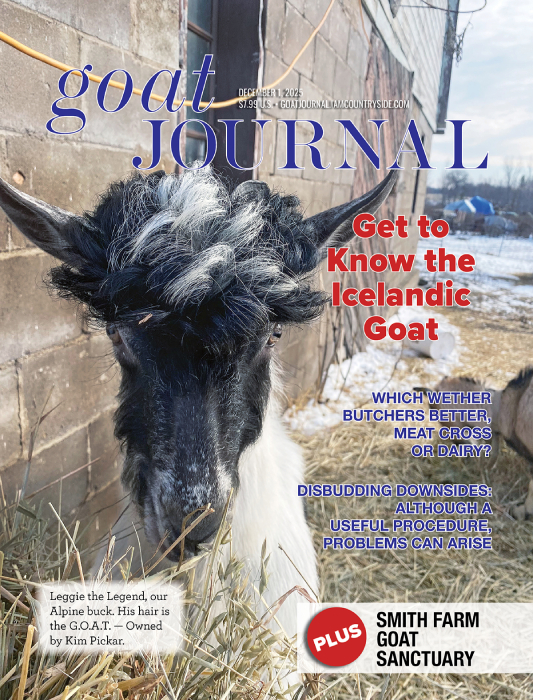 Goat Journal Digital Issue 19